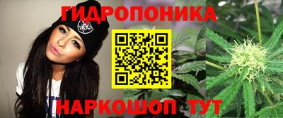 шишки Старая Купавна